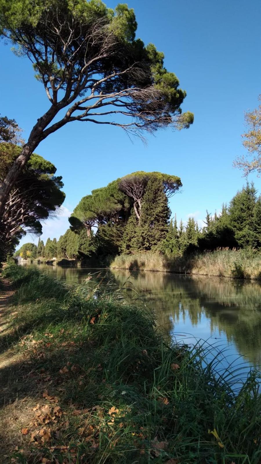 La Promesse De L Aude Apartment Salleles-d'Aude Bagian luar foto